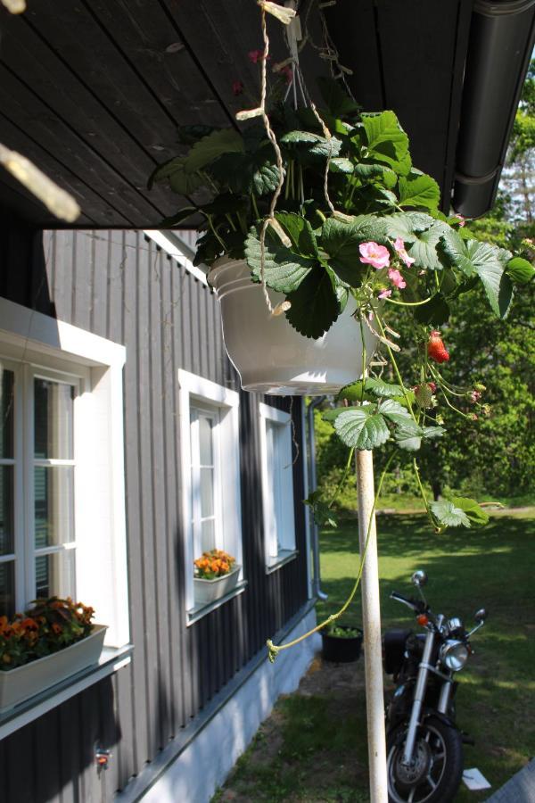 Hotel Uki Puhkekuela Pärnu Exteriér fotografie